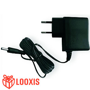 Netzadapter 230V / 5,0V Eurostecker Typ C